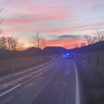 Polizeirevier Harz: Aktuelle Polizeimeldungen