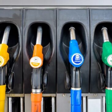 ifo Institut: Etwa 5 Minuten Arbeit für einen Liter Benzin