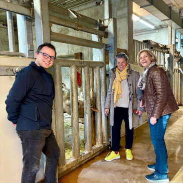 Spitzenpolitikerin verabschiedet Spitzmaulnashorn aus Magdeburg