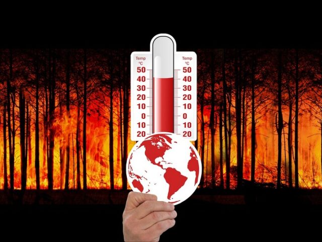 Waldbrandgefahr: Innenministerin appelliert an umsichtiges Verhalten