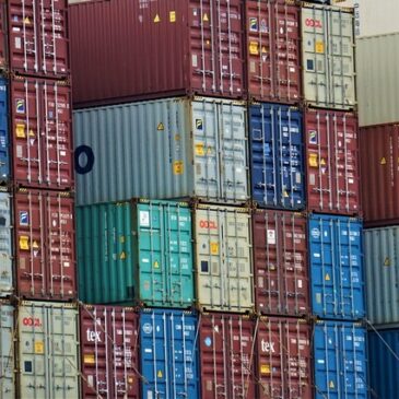 Exporte im Februar 2026: +3,6 % zum Januar 2026