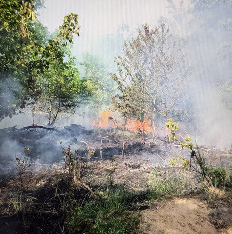 Zeugenaufruf nach Waldbrand bei Genthin
