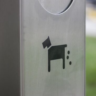 Ordnungsamt kontrollierte Entfernung von Hundekot / 124 Kontrollen in mehreren Stadtteilen