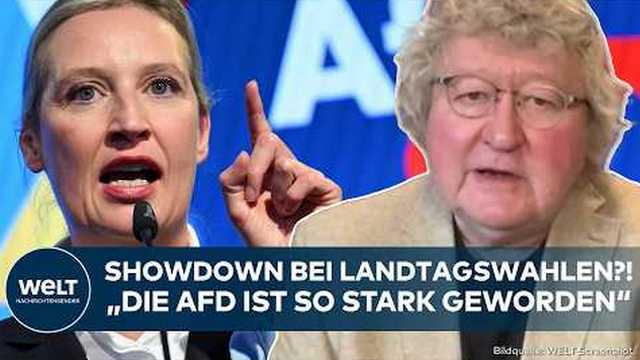 AFD: Showdown bei Landtagswahlen? Patzelt sieht strukturelle Stärke der Partei