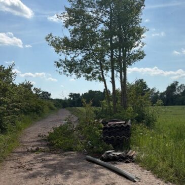 Illegale Müllentsorgung an der B71