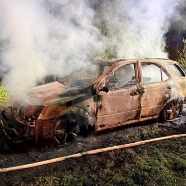 Polizeirevier Stendal: Aktuelle Polizeimeldungen