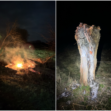 Polizeirevier Börde: Aktuelle Polizeimeldungen