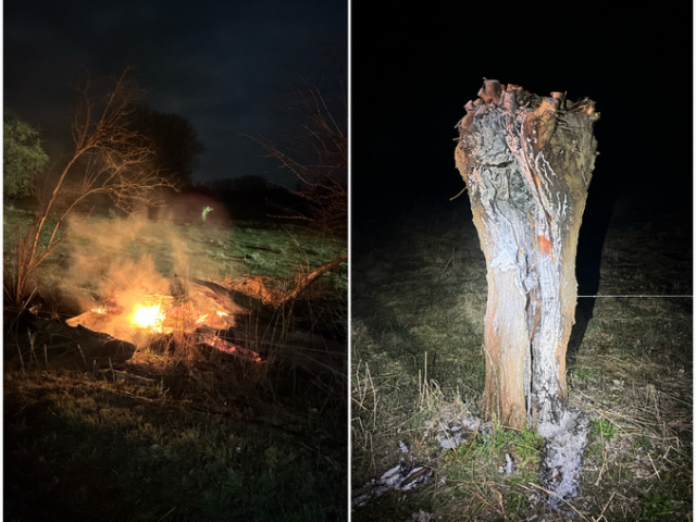 Polizeirevier Börde: Aktuelle Polizeimeldungen