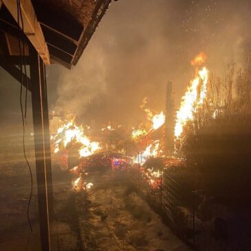 Polizeirevier Börde: Aktuelle Polizeimeldungen