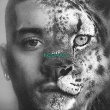 ZAYN veröffentlicht seine neue Single „Die For Me“