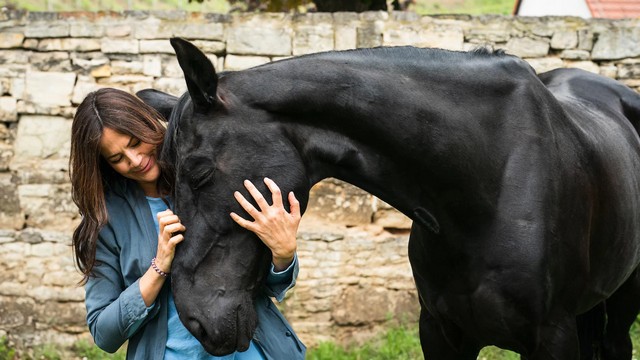 Drama: Zwei Frauen für alle Felle – Pferdeliebe (Das Erste 20:15 – 21:45 Uhr)