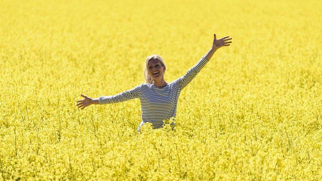 Liebesdrama: 💘 Inga Lindström – Das Postboot in den Schären (ZDF 13:40 – 15:10 Uhr)