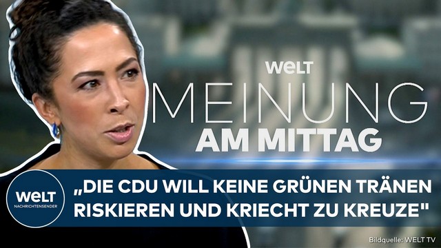 AFD-BRANDMAUER: Unlösbares Dilemma? „CDU will keine grünen Tränen riskieren und kriecht zu Kreuze“
