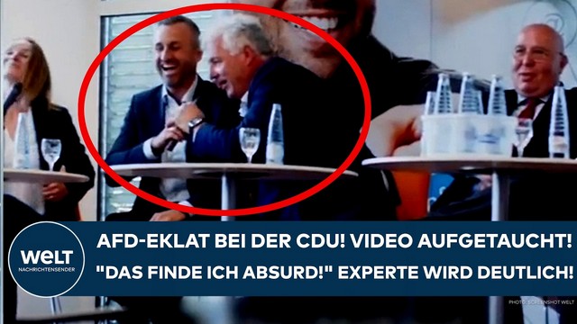 SACHSEN-ANHALT: AfD-Eklat bei CDU! Video aufgetaucht! Experte wird deutlich! „Das finde ich absurd!“