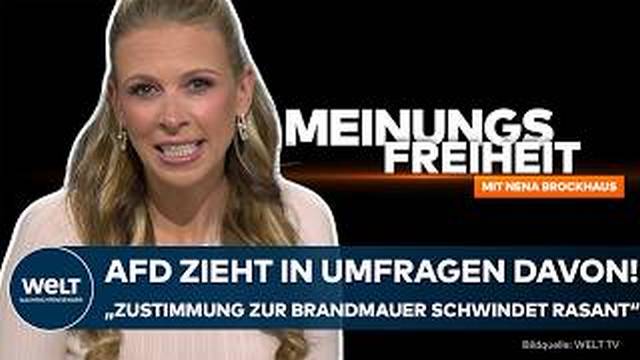 BROCKHAUS: AfD zieht in Umfragen davon! „Zustimmung zur Brandmauer schwindet rasant!“