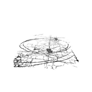 moé x maikel veröffentlichen neue Single “Trends”