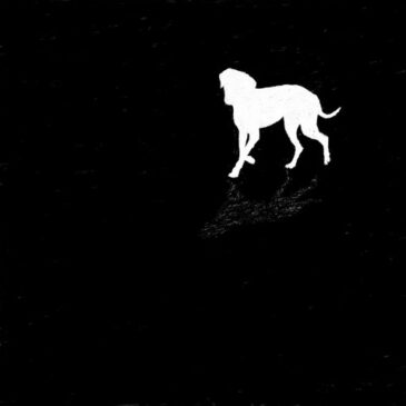 moé veröffentlicht sein Album “GDWNE (Geschichten, die wir niemandem erzählen)”