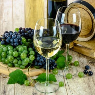 2.-höchste Weinernte in Sachsen-Anhalt seit 1998