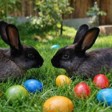 Osterprogramm im Magdeburger Zoo vom 03.-06. April 2026